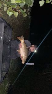 Leather Carp