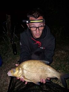 Common Bream