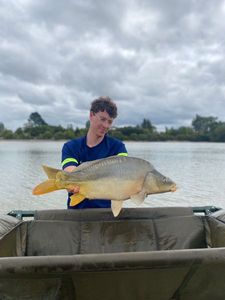 Mirror Carp