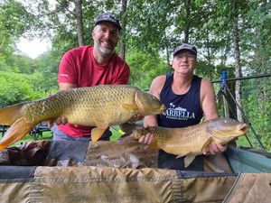 Common Carp