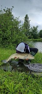 Grass Carp