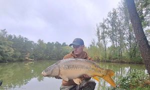 Mirror Carp