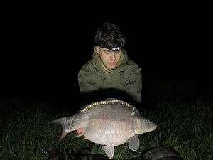 Mirror Carp