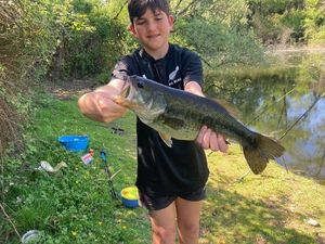 Smallmouth Bass