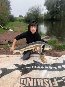 Sturgeon