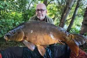 Mirror Carp