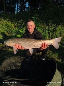 Grass Carp
