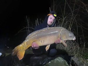 Mirror Carp