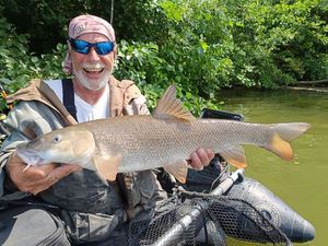 Barbel