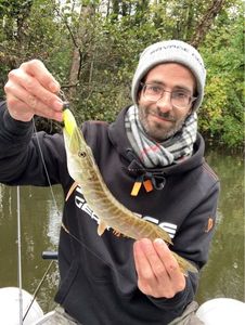 Northern Pike