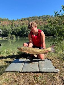Grass Carp