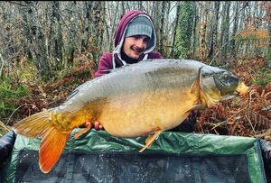 Mirror Carp