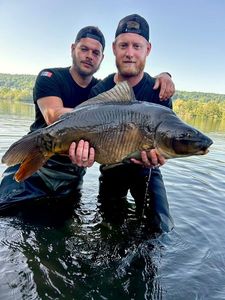 Mirror Carp