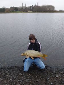 Common Carp