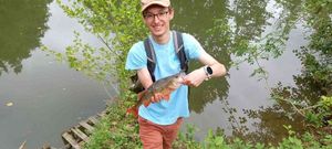 European Perch
