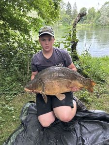 Mirror Carp