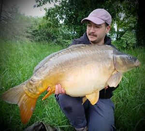 Mirror Carp