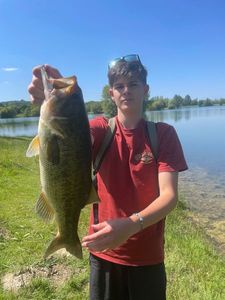 Largemouth Bass