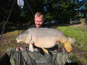 Mirror Carp