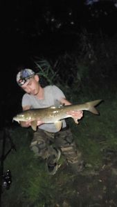 Barbel