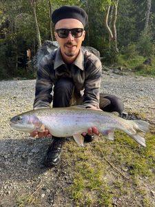Rainbow Trout
