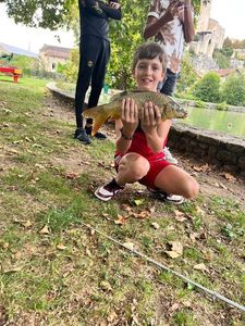 Common Carp