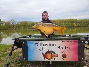 Mirror Carp