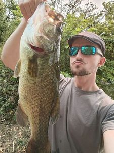 Largemouth Bass