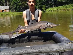Sturgeon