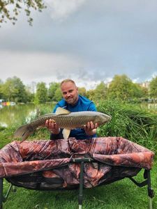 Grass Carp