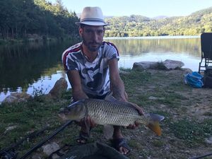 Common Carp