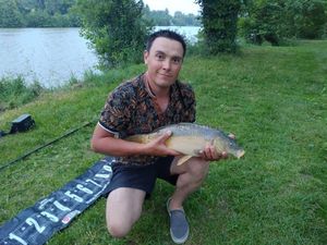 Mirror Carp