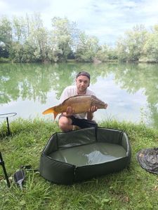 Common Carp