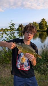 Mirror Carp