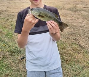 Largemouth Bass