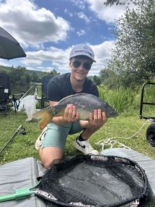 Mirror Carp