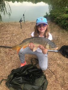 Mirror Carp