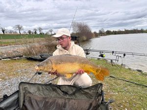 Common Carp