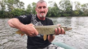 Northern Pike