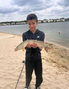 Northern Pike