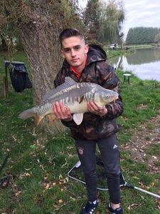 Common Carp