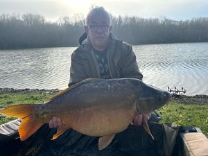 Mirror Carp