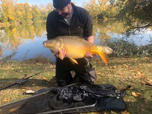 Mirror Carp