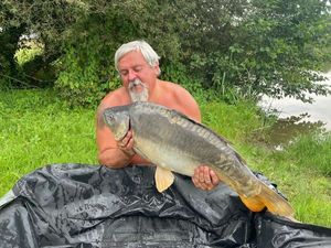 Mirror Carp
