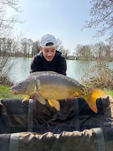 Mirror Carp