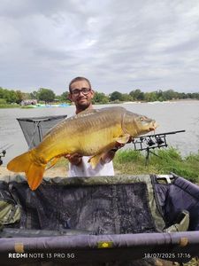 Mirror Carp