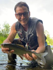 Grayling