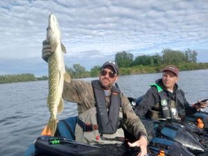 Northern Pike