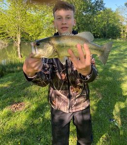 Largemouth Bass