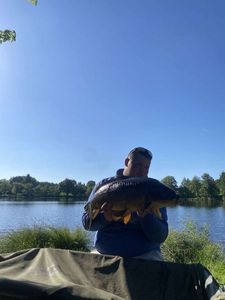 Mirror Carp